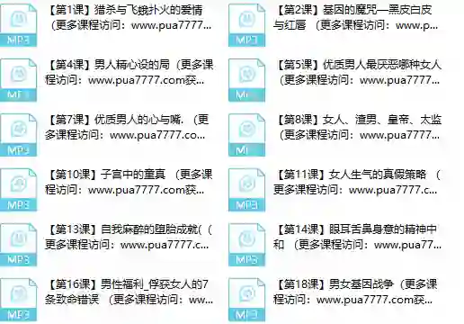 甄琦学长《成功男人的情感刚需》实战指南|限时揭秘专属情感升级方案-沉潜情感社