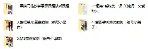 黑猫门徒核心课实战指南：限时揭秘专属成长路径-沉潜情感社