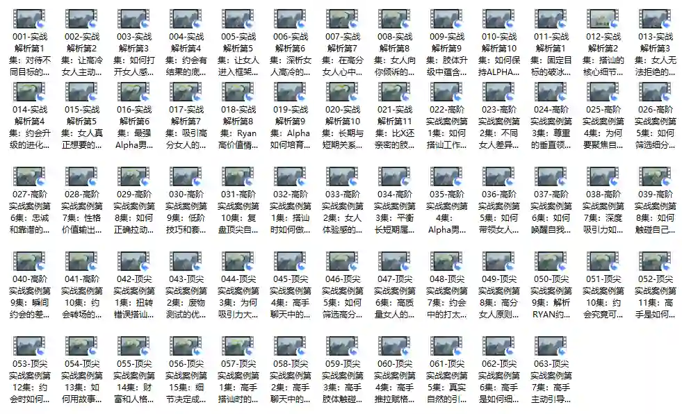 瑞恩自然之道Plus实战指南|价值12800元专属揭秘版【完结】-沉潜情感社
