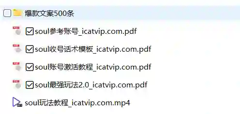 Soul最新玩法实战指南：500条爆款文案限时揭秘-沉潜情感社