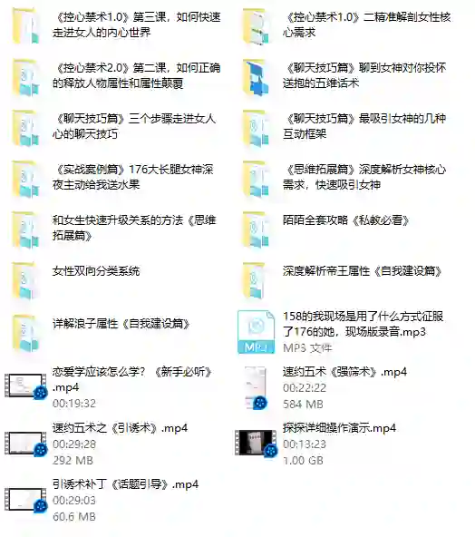 私教专属实战指南：魅男方法V3.0揭秘-沉潜情感社