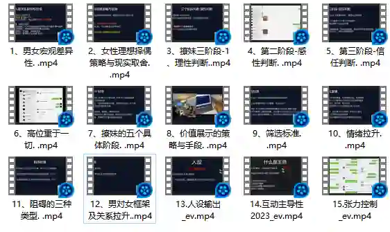 Leon情感5.0实战指南：限时揭秘专属情感提升术-沉潜情感社