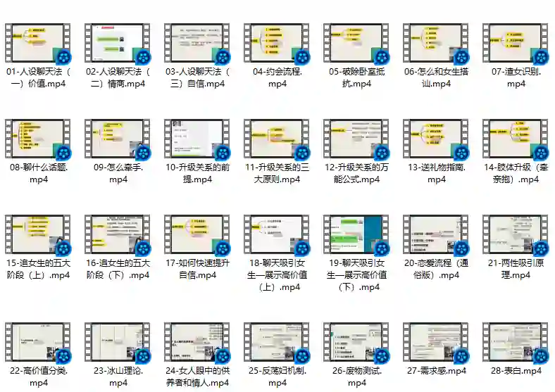 图片[1]-麦子《脱单实战VIP课》限时揭秘：专属脱单指南-沉潜情感社