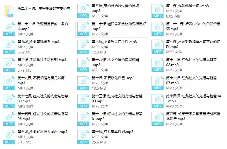 红丸实战指南：十大人生法则限时揭秘-沉潜情感社