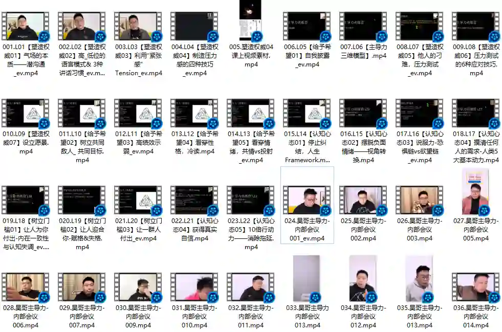 昊哥《主导力训练营》实战指南：限时揭秘专属成长路径-沉潜情感社