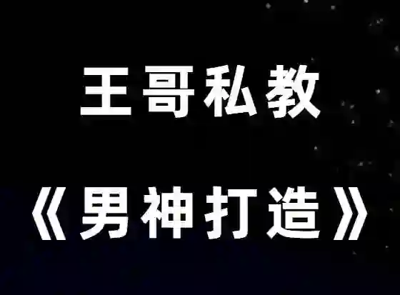 图片[2]-王哥私教课V3.0｜实战情感指南·限时解锁专属成长秘籍-沉潜情感社